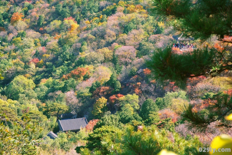 蝴蝶谷门票（蝴蝶谷风景区）