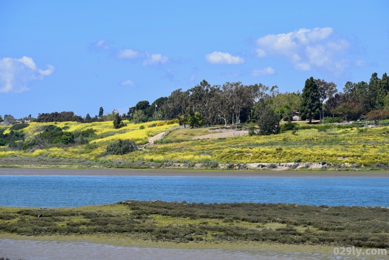 沙湖景点讲解（沙湖景区在哪个地方）