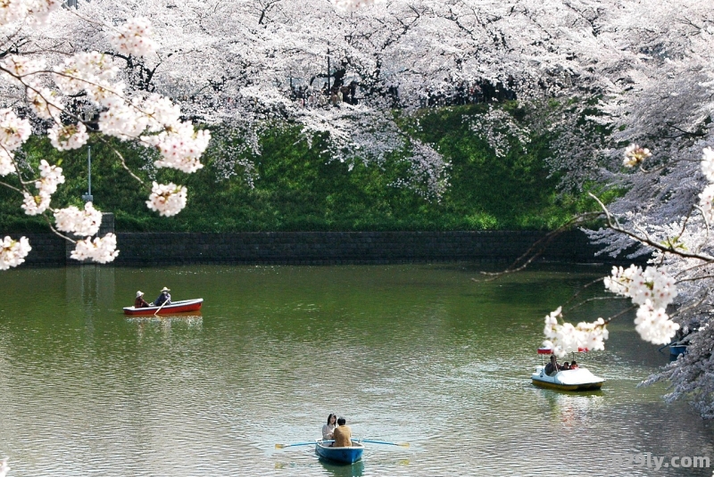 莱芜一日游景点自驾游（莱芜一日游景点自驾游多少钱）