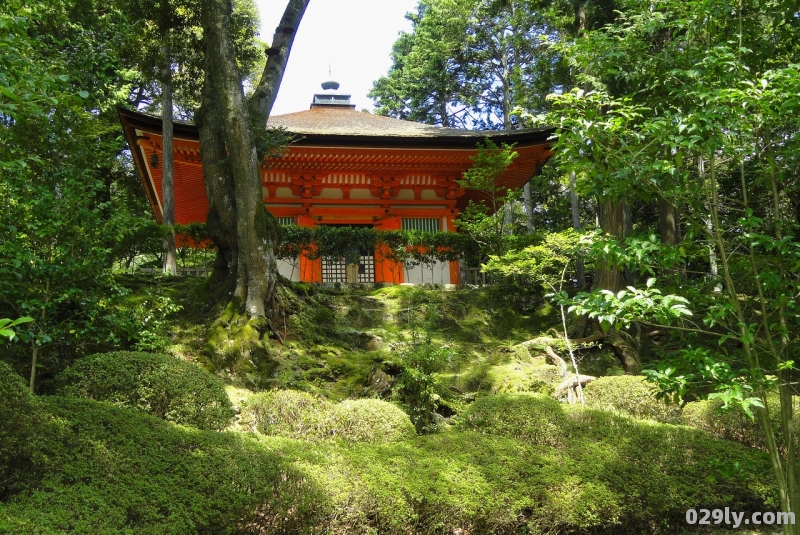 济源月山旅游攻略（济源月山旅游攻略一日游）