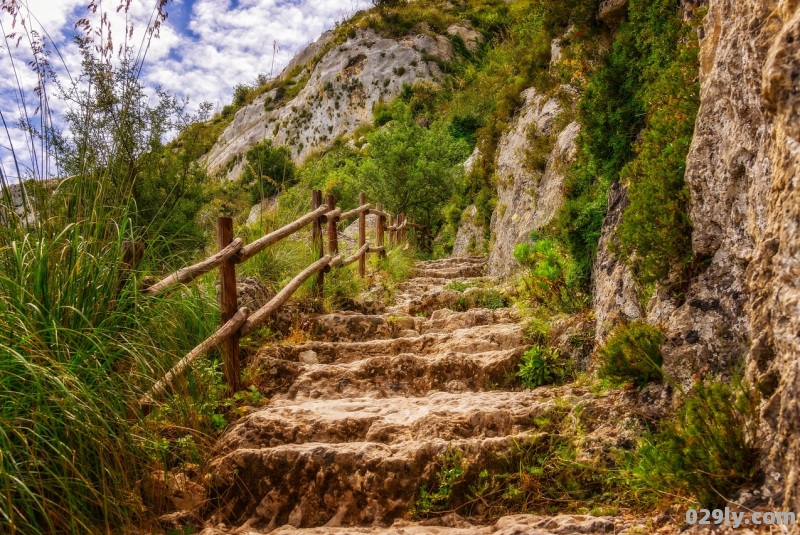 家庭旅游指南（九华山旅游指南）