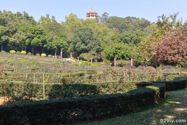 中山紫马岭公园（中山紫马岭公园要门票吗）