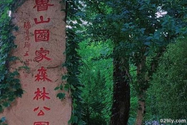 鲁山森林公园（鲁山森林公园有什么好玩的）