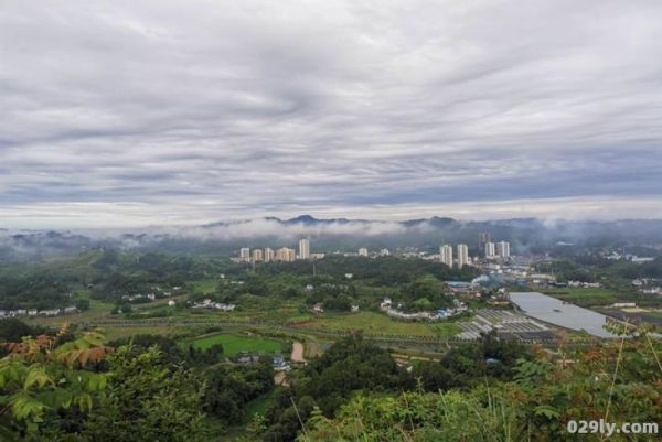 南川生态大观园（南川生态大观园景区）