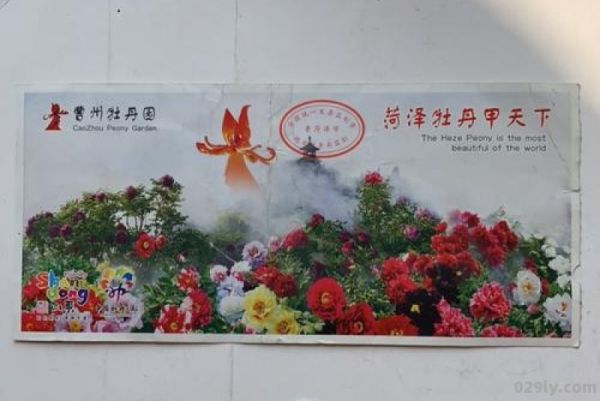 菏泽牡丹花会门票（菏泽牡丹花会门票2023）