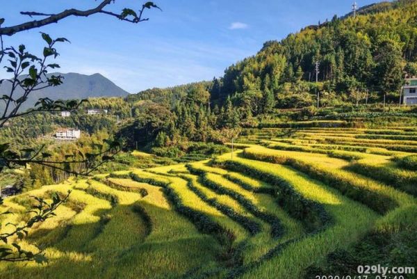 尤溪联合梯田（尤溪联合梯田门票多少钱）