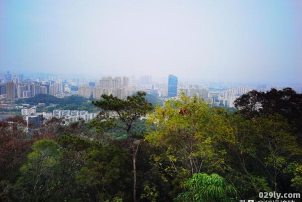 东莞旗峰山（东莞旗峰山海拔）