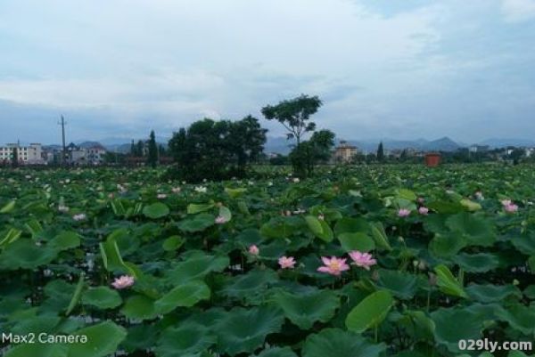 江西省萍乡市莲花县（江西省萍乡市莲花县天气）