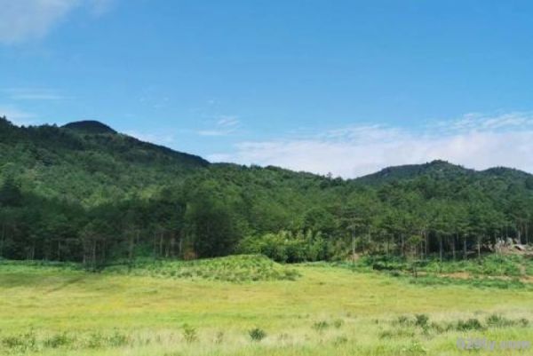 仙山牧场（仙山牧场风景区）