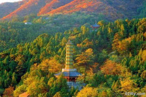 北京香山一日游（北京香山一日游旅行社）