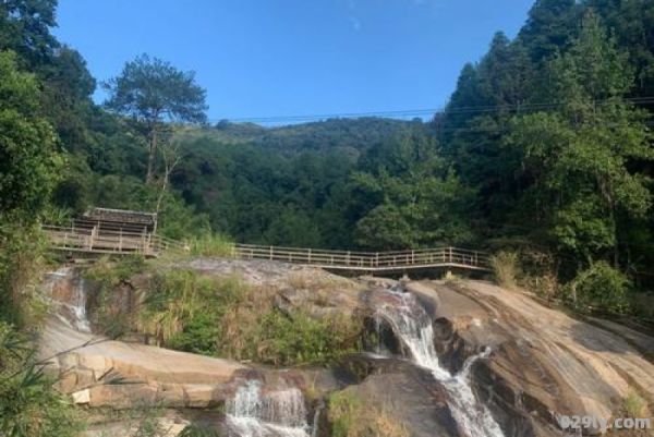 武平梁野山（武平梁野山景区简介）