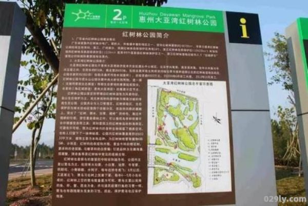 大亚湾红树林公园（大亚湾红树林公园远期规划）