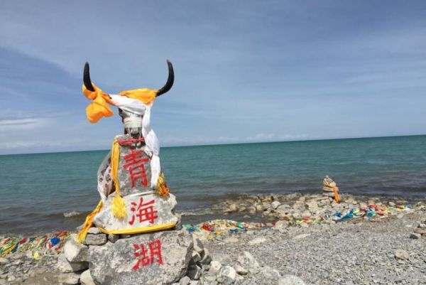 青海旅游局（青海旅游局投诉电话有用吗）