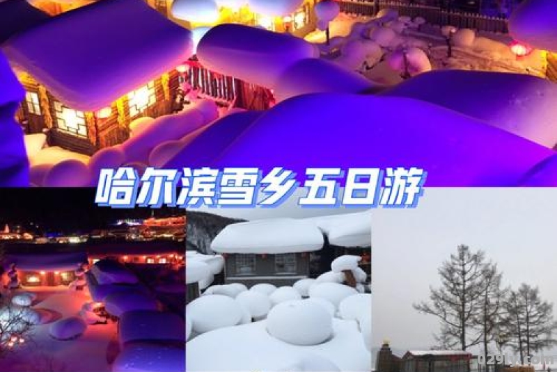 哈尔滨免费旅游景点必玩雪乡