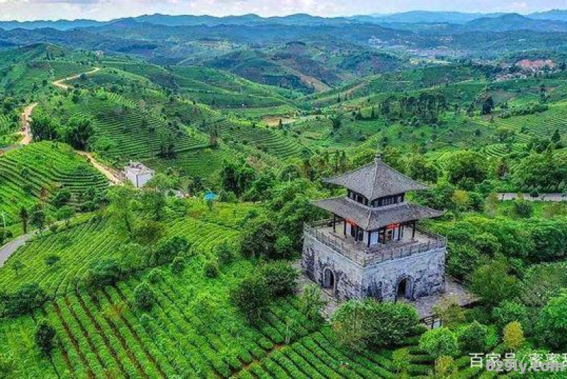 云南普洱市旅游景点（云南普洱市旅游景点图片）