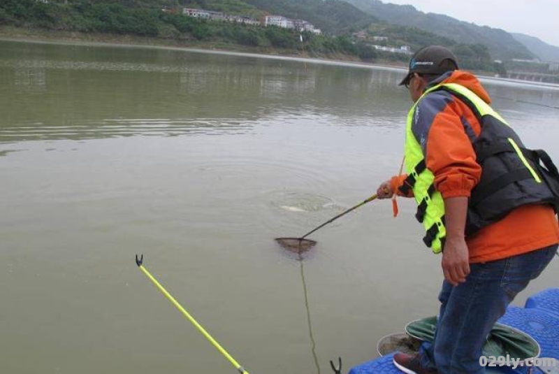 水库放水怎么钓鱼