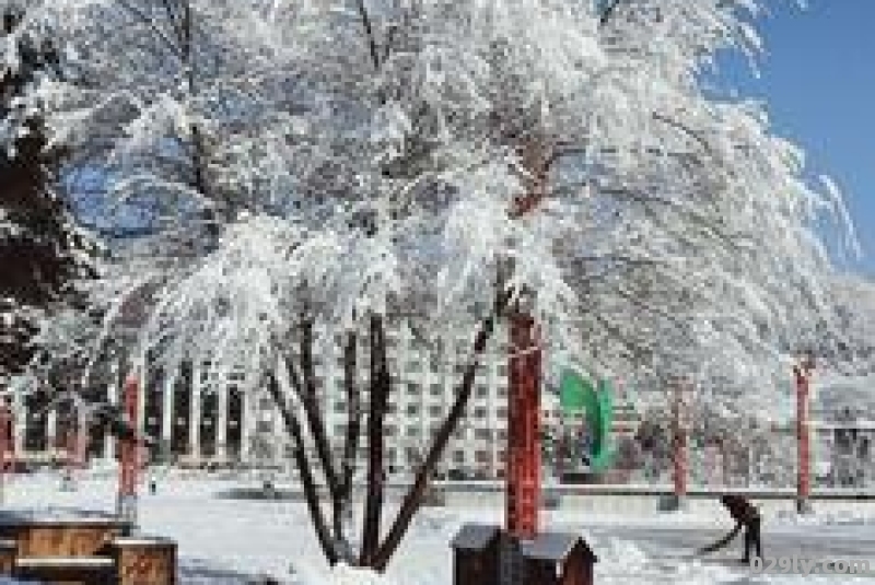 吉林雪景描写