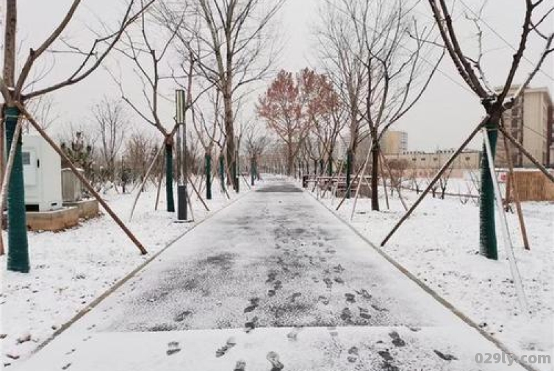 核辐射后的第一场雪不能淋