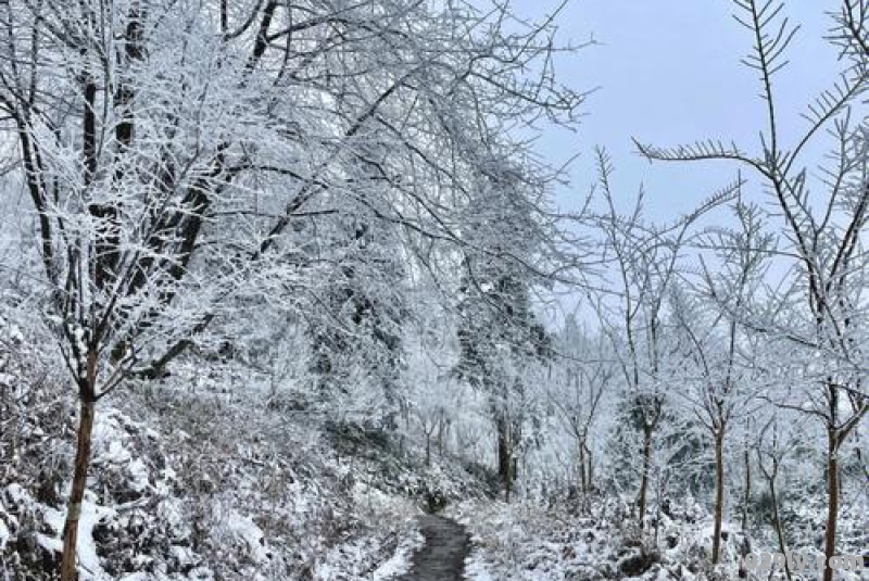 四川那些地方可以看雪景啊