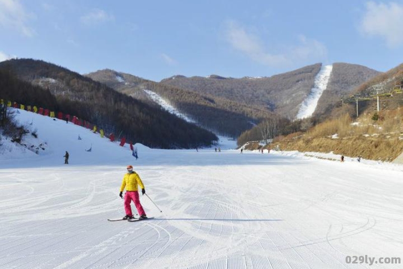 谁知道冬天滑雪去哪好呢