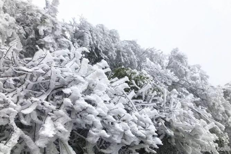 湖南哪些地方在下雪