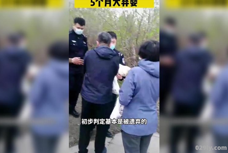 黑龙江一东北虎进村伤人,如何看待这起事件