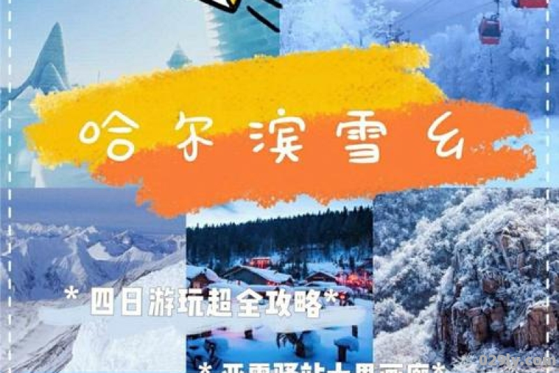 到哈尔滨的市区怎么报团去雪乡啊一般需要多少钱