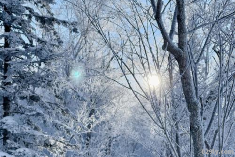 有东北的没,求一张真实下雪的图片,只要雪景,谢谢