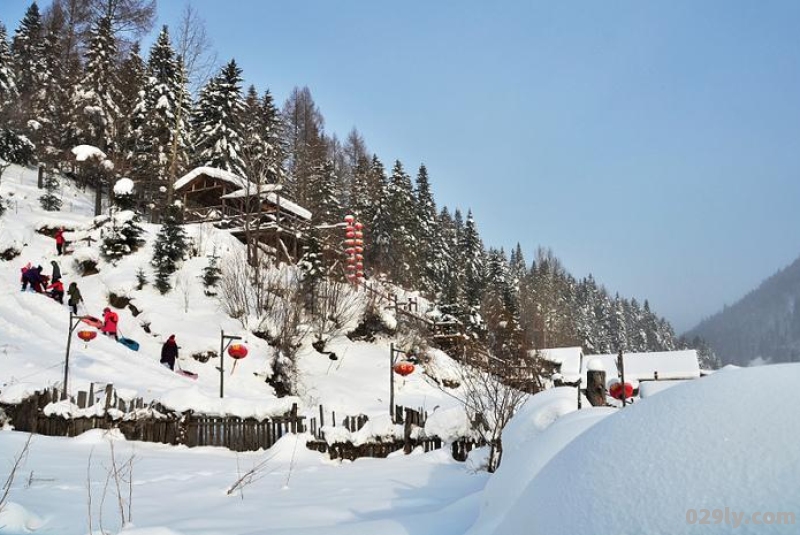 梦里雪乡的阅读答案