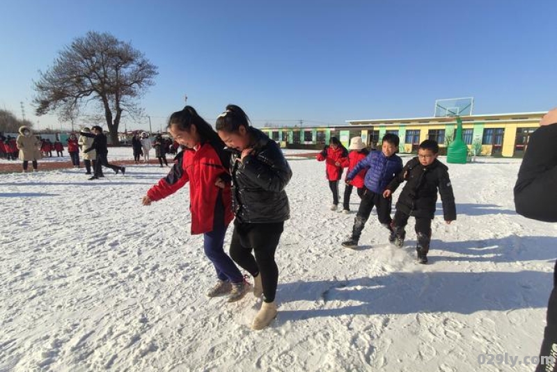 农村小学冰雪运动会活动总结