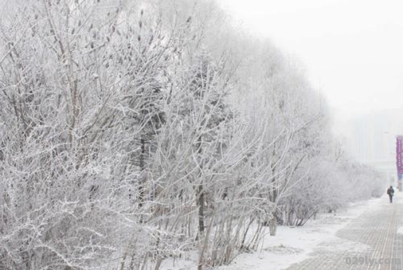 长春下雪了吗