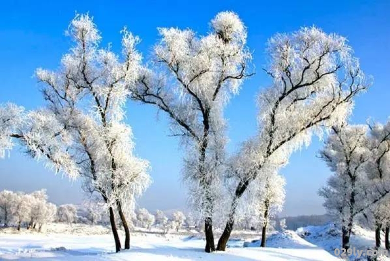 东北赏雪好去处 看雪景最美的地方有哪些