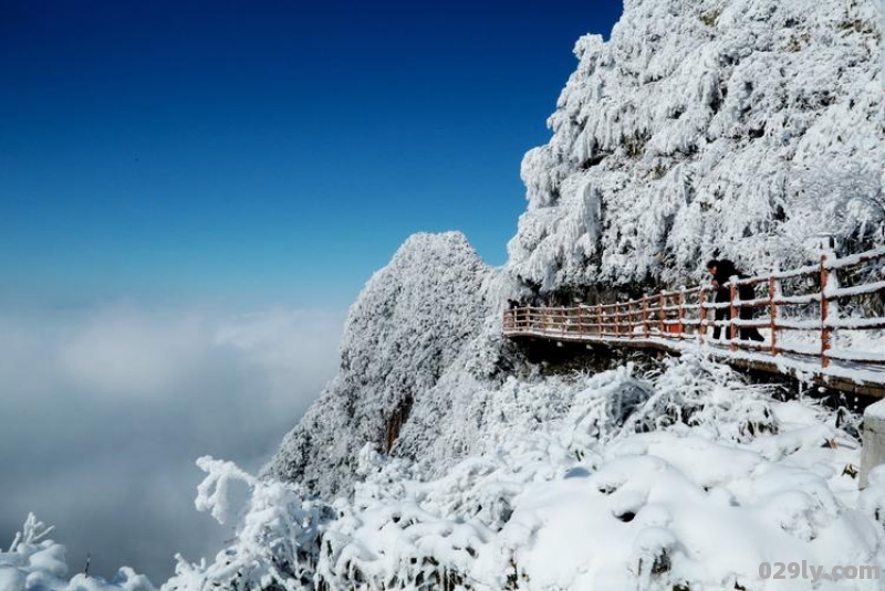 万源八台山雪景写作文