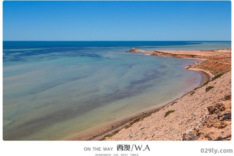 最大的海湾（最大的海湾是）