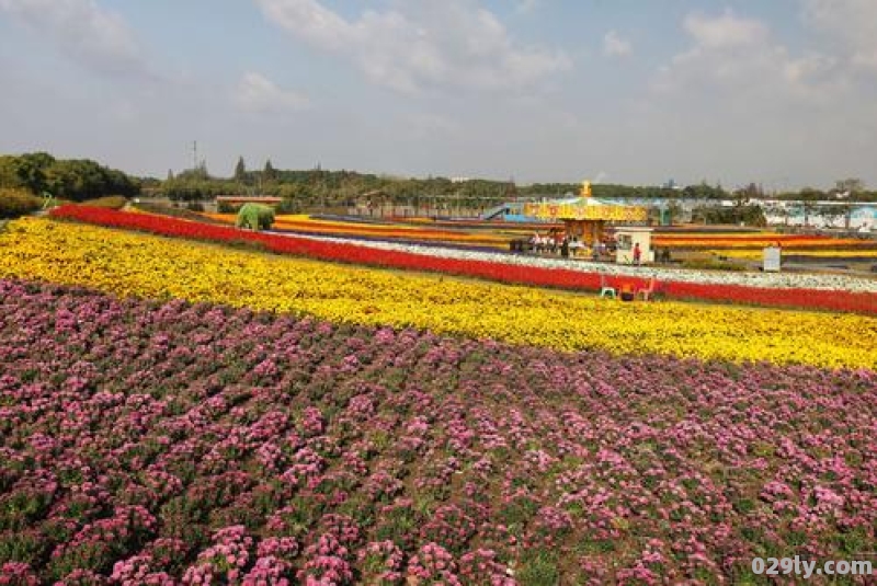 松江旅游必去十大景点（松江旅游必去十大景点看花）