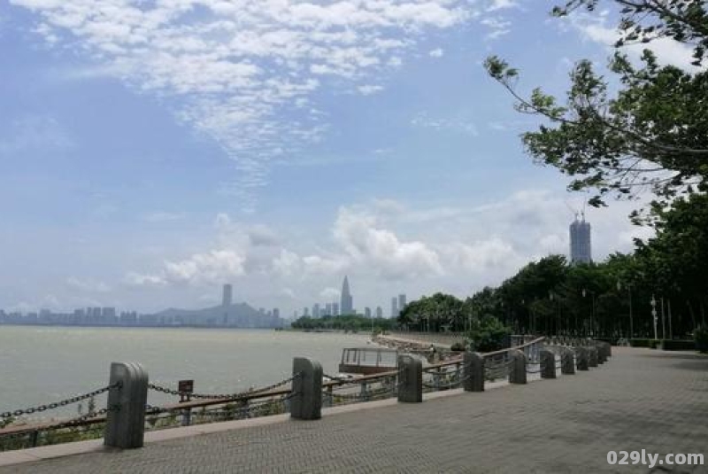 深圳湾公园在哪里（深圳湾公园在哪里可以看到香港）