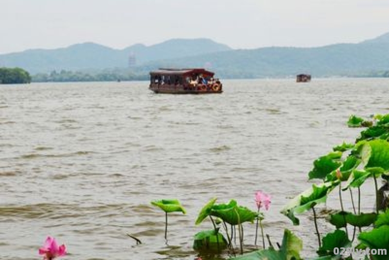 西子湖畔首页（西子湖畔首页官网）