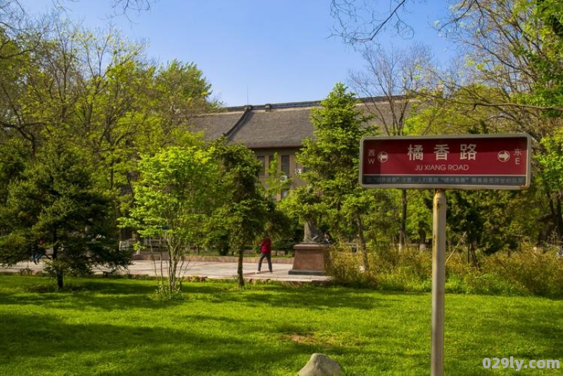 山东大学趵突泉校区（山东大学趵突泉校区邮政编码）