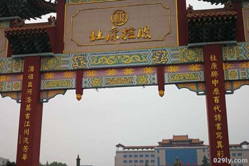 河南汝阳（河南汝阳杜康酒厂）