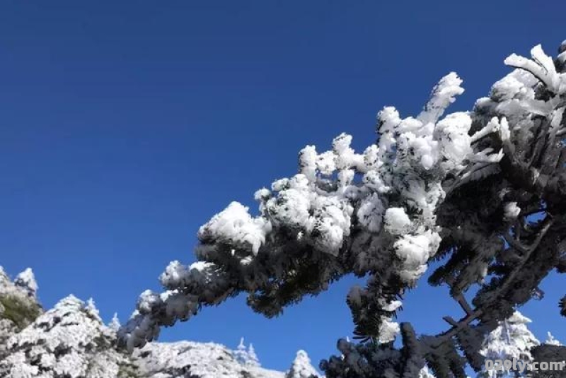 昆明轿子雪山风景区（昆明轿子雪山风景区天气）