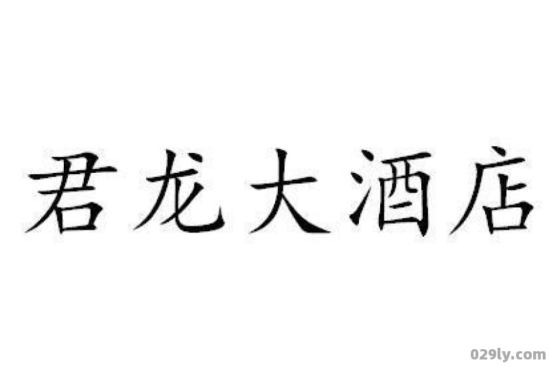 君龙大酒店（君龙大酒店2013年打架带头人姓名）