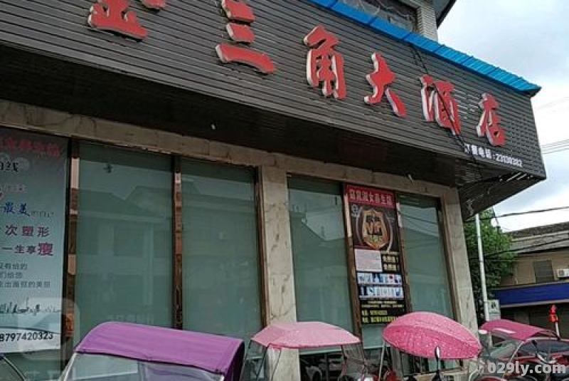 包含金三角大酒店的词条