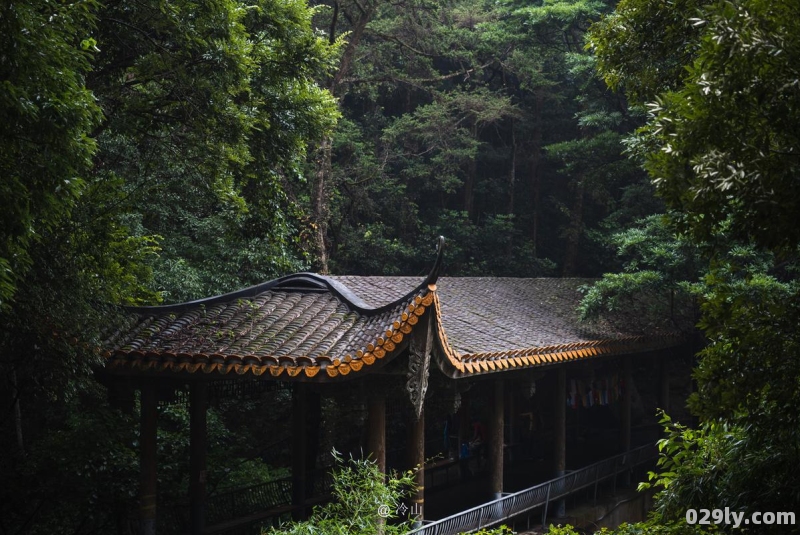 雨后山林酒店（雨后山林美景）