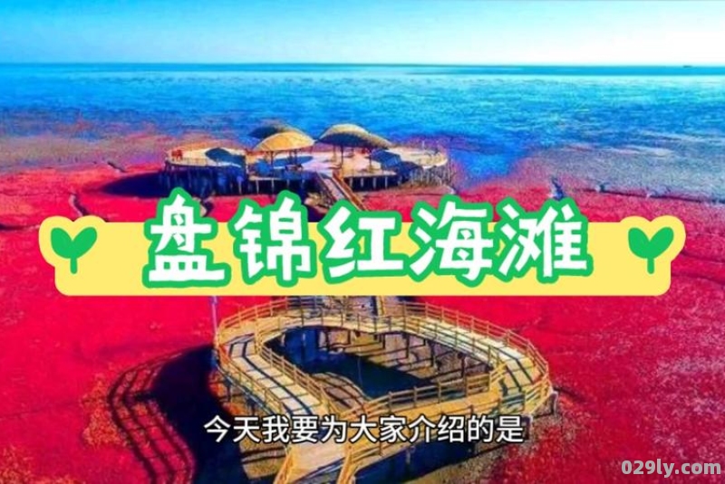 辽宁盘锦红海滩门票（辽宁盘锦红海滩门票几日有效）