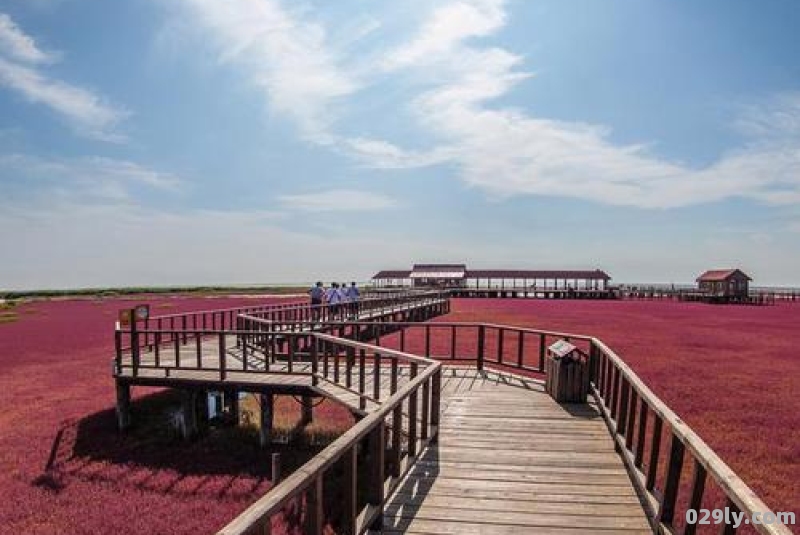 辽宁盘锦红海滩旅游攻略（辽宁盘锦红海滩门票多少钱）