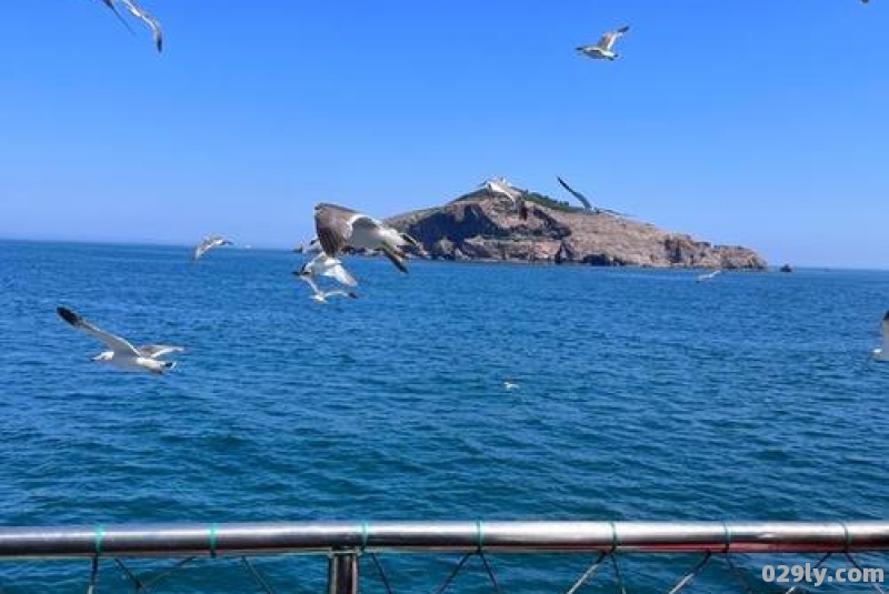 威海海驴岛风景区（威海海驴岛风景区图片）