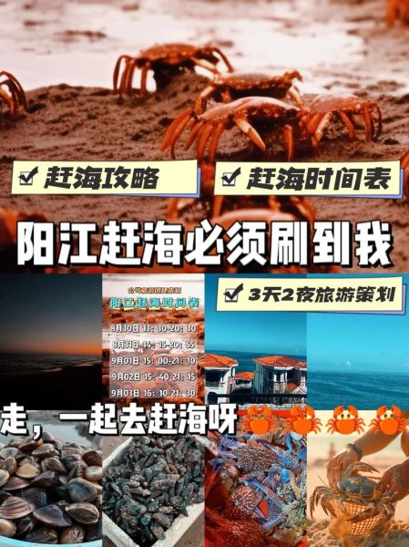 去赶海旅游团多少钱 赶海旅游攻略