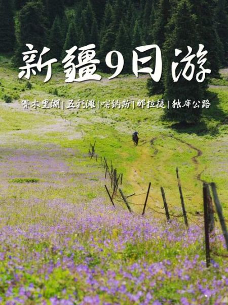 越野旅游团去新疆多少钱 越野旅游团去新疆多少钱啊