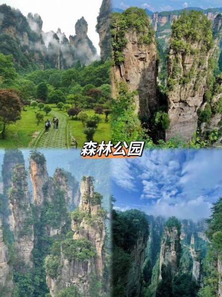 长春去罗平旅游团多少钱 长春旅游团线路