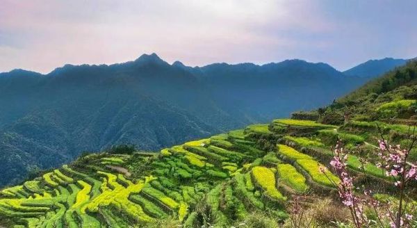 滑县去黄山旅游团多少钱 滑县去黄山旅游团多少钱一张票